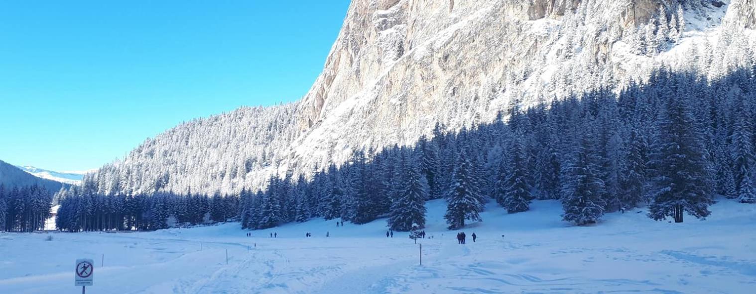 Garni Hotel Iris Selva di Val Gardena Exterior photo